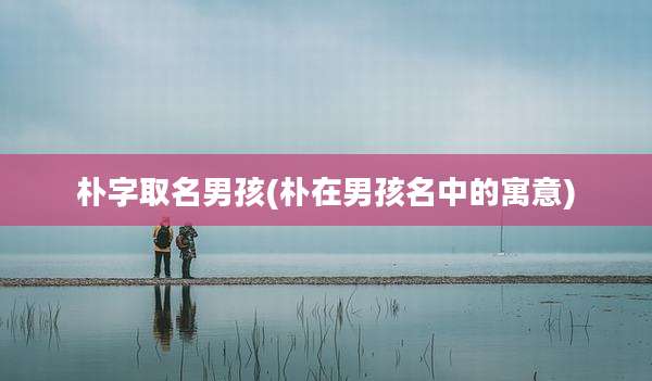 朴字取名男孩(朴在男孩名中的寓意)