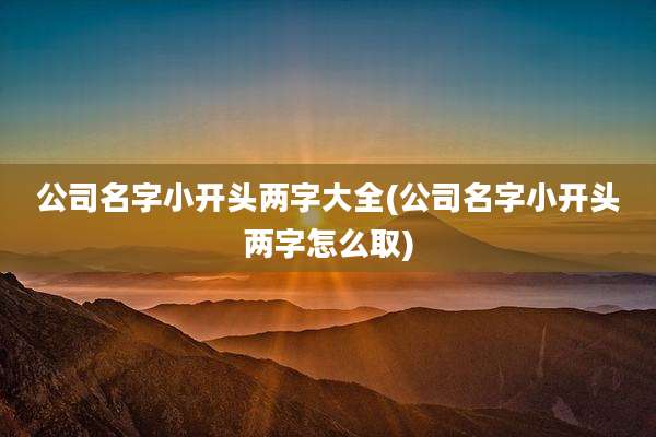 公司名字小开头两字大全(公司名字小开头两字怎么取)
