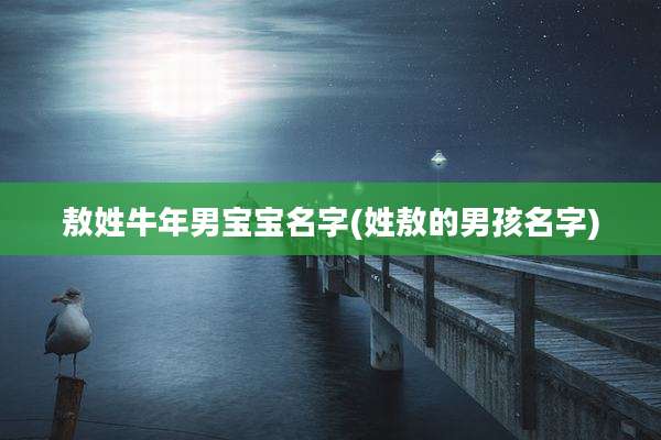 敖姓牛年男宝宝名字(姓敖的男孩名字)