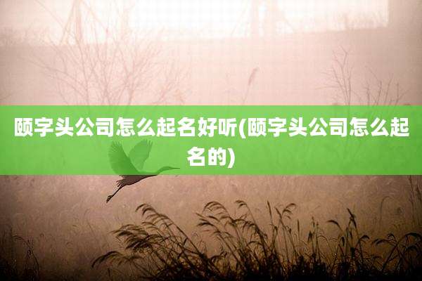 颐字头公司怎么起名好听(颐字头公司怎么起名的)