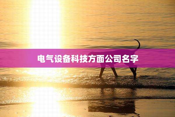 电气设备科技方面公司名字