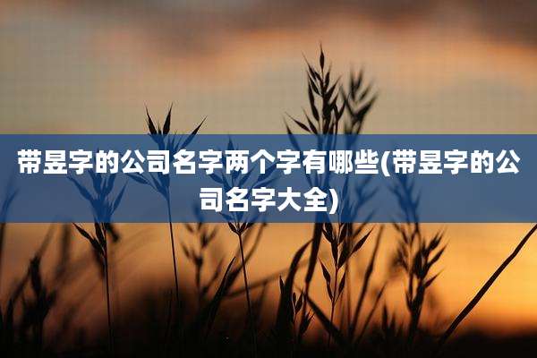 带昱字的公司名字两个字有哪些(带昱字的公司名字大全)
