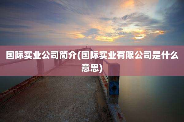 国际实业公司简介(国际实业有限公司是什么意思)