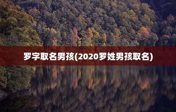 罗字取名男孩(2020罗姓男孩取名)