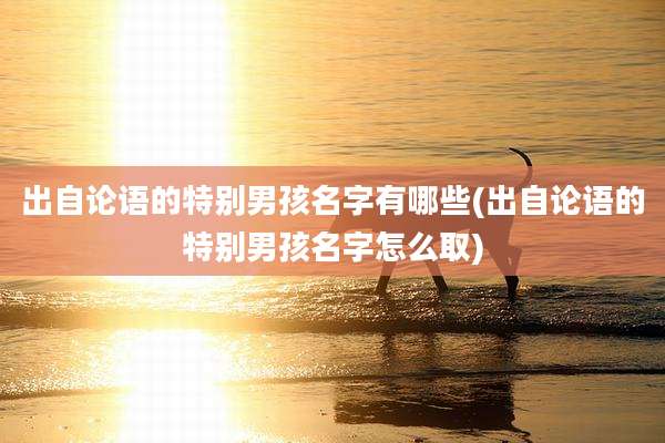 出自论语的特别男孩名字有哪些(出自论语的特别男孩名字怎么取)