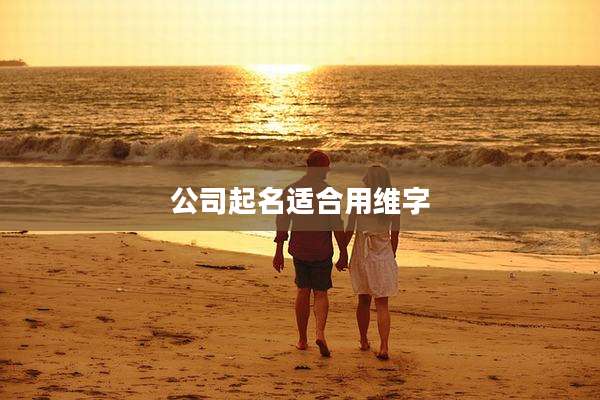 公司起名适合用维字