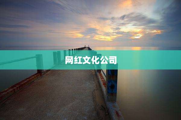 网红文化公司