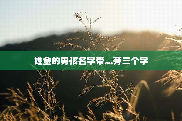姓金的男孩名字带灬旁三个字