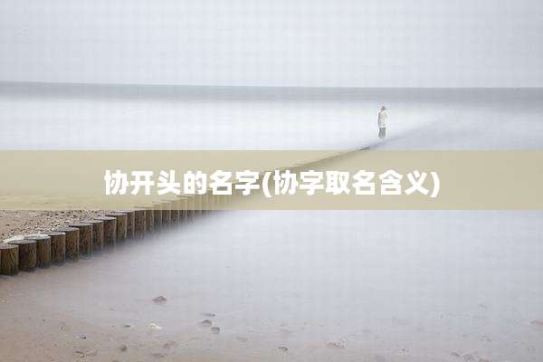 协开头的名字(协字取名含义)