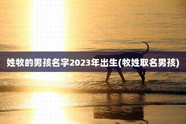 姓牧的男孩名字2023年出生(牧姓取名男孩)