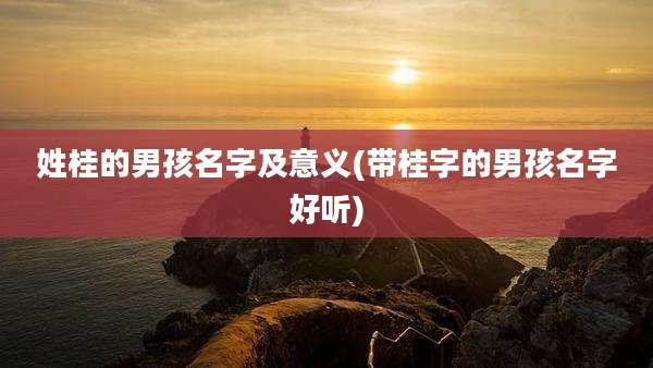 姓桂的男孩名字及意义(带桂字的男孩名字好听)