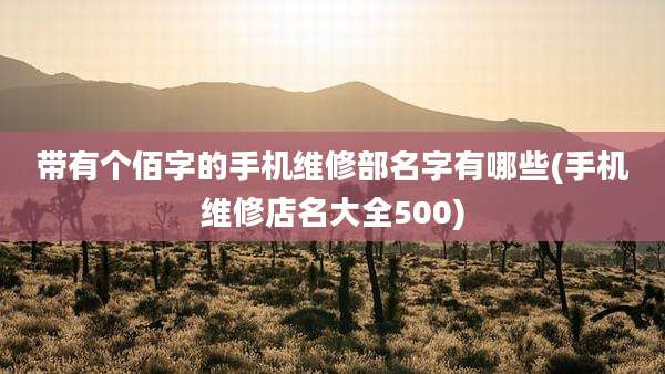 带有个佰字的手机维修部名字有哪些(手机维修店名大全500)