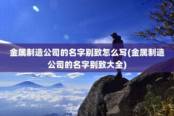 金属制造公司的名字别致怎么写(金属制造公司的名字别致大全)