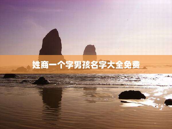 姓商一个字男孩名字大全免费