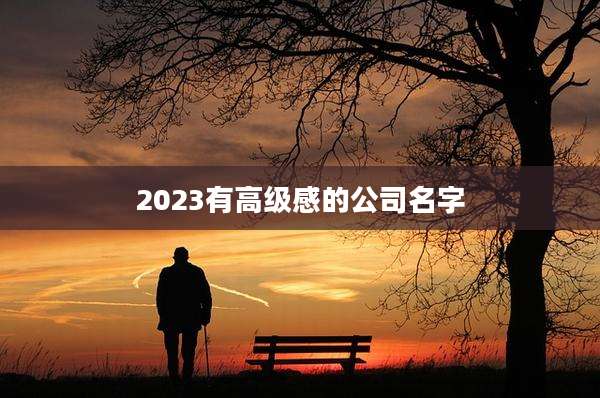 2023有高级感的公司名字