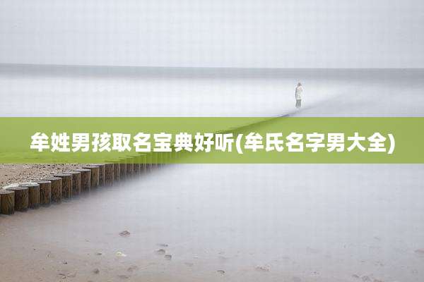 牟姓男孩取名宝典好听(牟氏名字男大全)