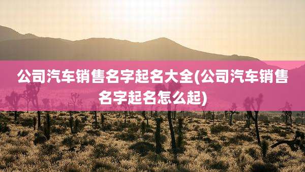 公司汽车销售名字起名大全(公司汽车销售名字起名怎么起)