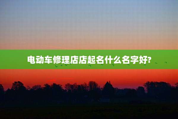 电动车修理店店起名什么名字好?