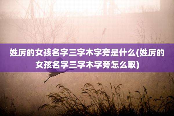 姓厉的女孩名字三字木字旁是什么(姓厉的女孩名字三字木字旁怎么取)