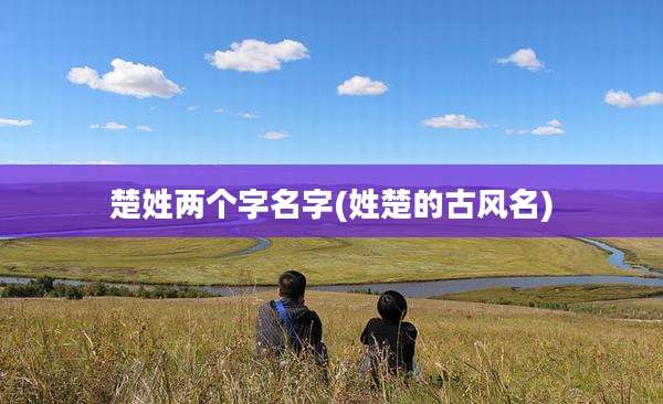 楚姓两个字名字(姓楚的古风名)