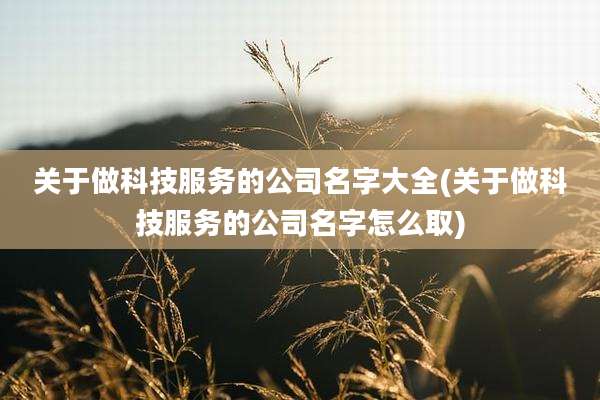 关于做科技服务的公司名字大全(关于做科技服务的公司名字怎么取)