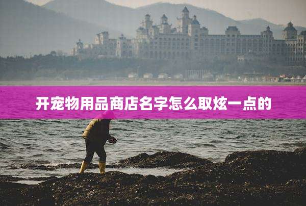 开宠物用品商店名字怎么取炫一点的