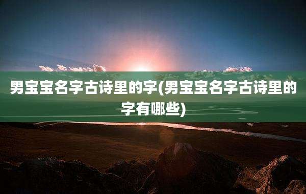 男宝宝名字古诗里的字(男宝宝名字古诗里的字有哪些)