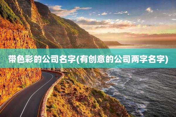 带色彩的公司名字(有创意的公司两字名字)