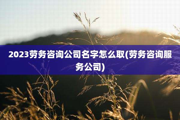 2023劳务咨询公司名字怎么取(劳务咨询服务公司)