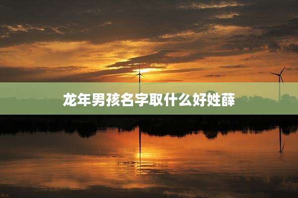 龙年男孩名字取什么好姓薛