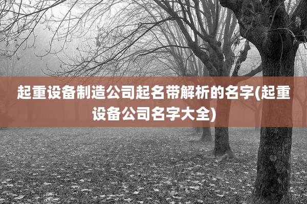 起重设备制造公司起名带解析的名字(起重设备公司名字大全)
