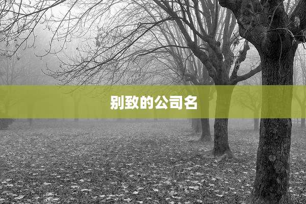 别致的公司名