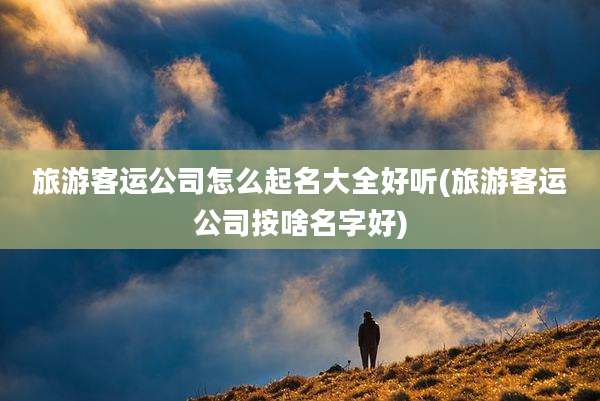 旅游客运公司怎么起名大全好听(旅游客运公司按啥名字好)
