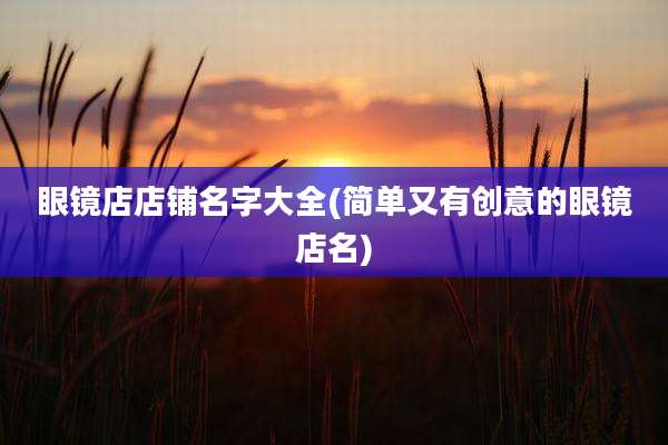 眼镜店店铺名字大全(简单又有创意的眼镜店名)