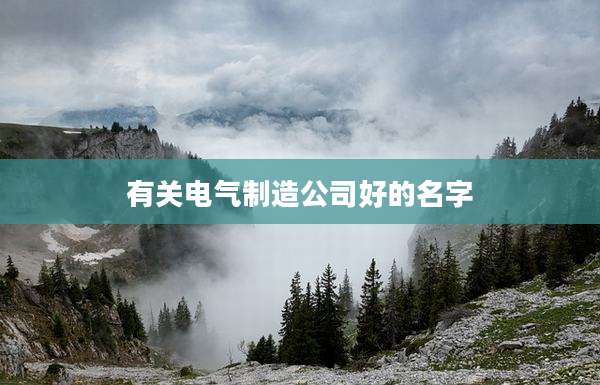 有关电气制造公司好的名字