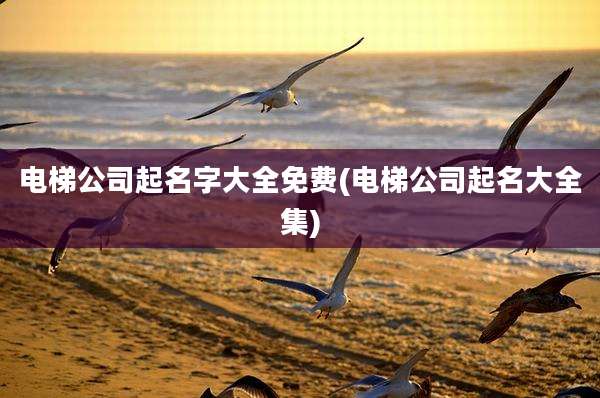 电梯公司起名字大全免费(电梯公司起名大全集)