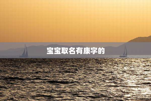 宝宝取名有康字的