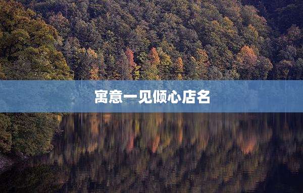 寓意一见倾心店名