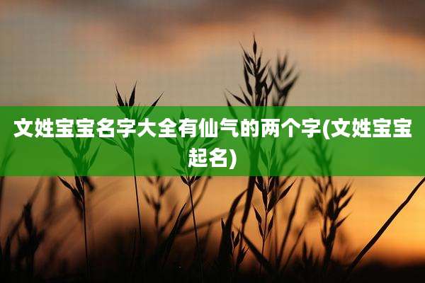文姓宝宝名字大全有仙气的两个字(文姓宝宝起名)