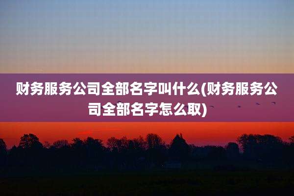 财务服务公司全部名字叫什么(财务服务公司全部名字怎么取)