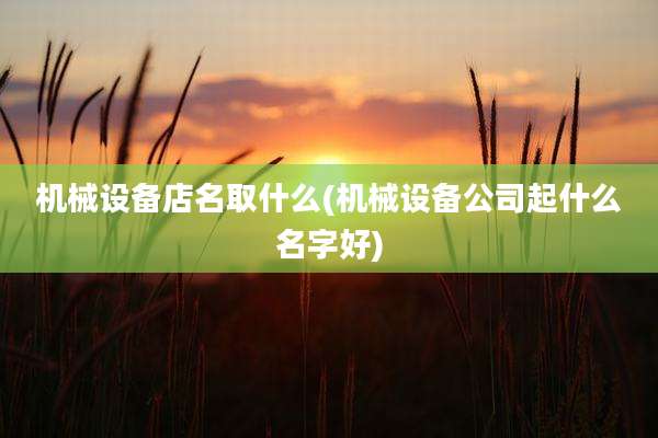机械设备店名取什么(机械设备公司起什么名字好)