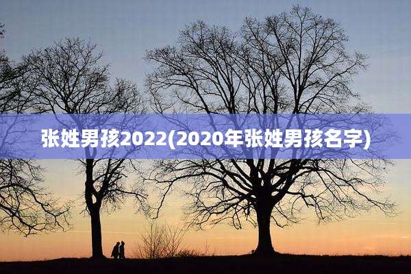 张姓男孩2022(2020年张姓男孩名字)