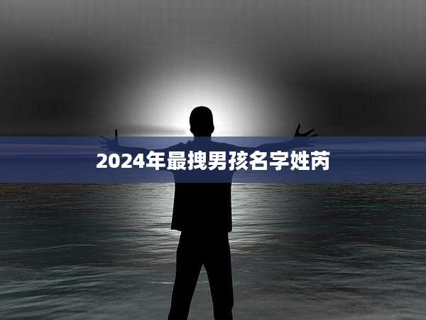 2024年最拽男孩名字姓芮