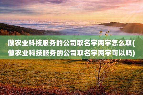 做农业科技服务的公司取名字两字怎么取(做农业科技服务的公司取名字两字可以吗)