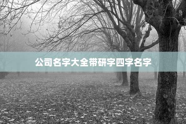 公司名字大全带研字四字名字