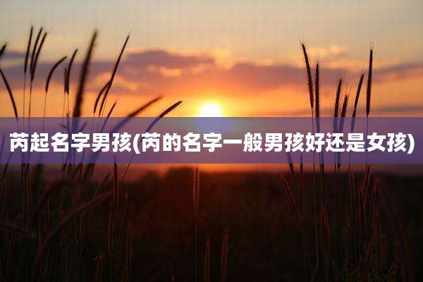 芮起名字男孩(芮的名字一般男孩好还是女孩)