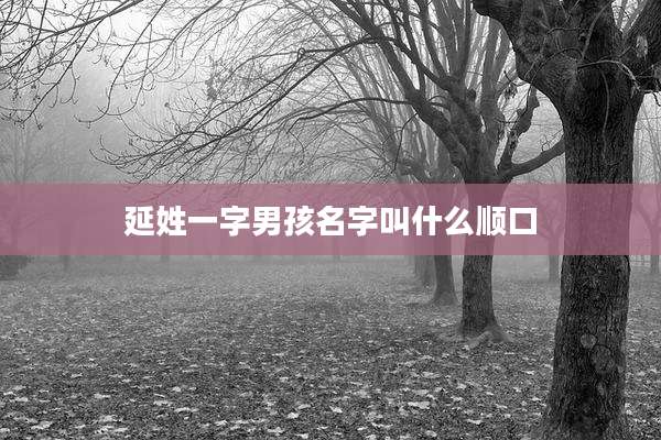 延姓一字男孩名字叫什么顺口