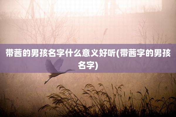 带茜的男孩名字什么意义好听(带茜字的男孩名字)