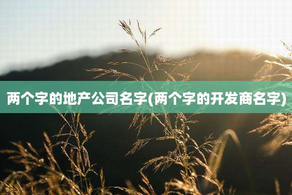 两个字的地产公司名字(两个字的开发商名字)