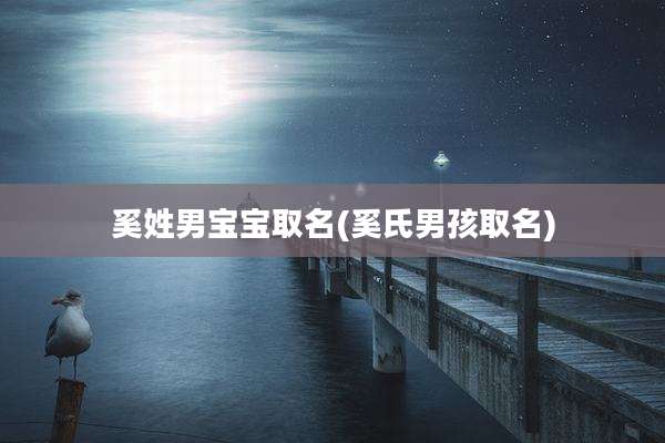 奚姓男宝宝取名(奚氏男孩取名)
